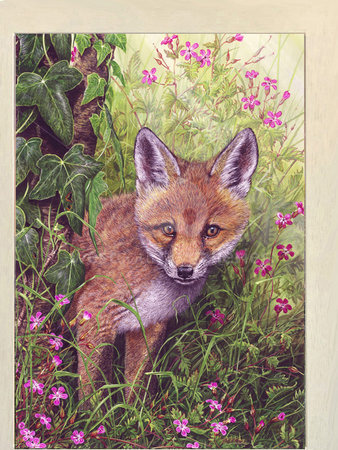 Image of The Young Explorer, Fox Cub & Herb Robert